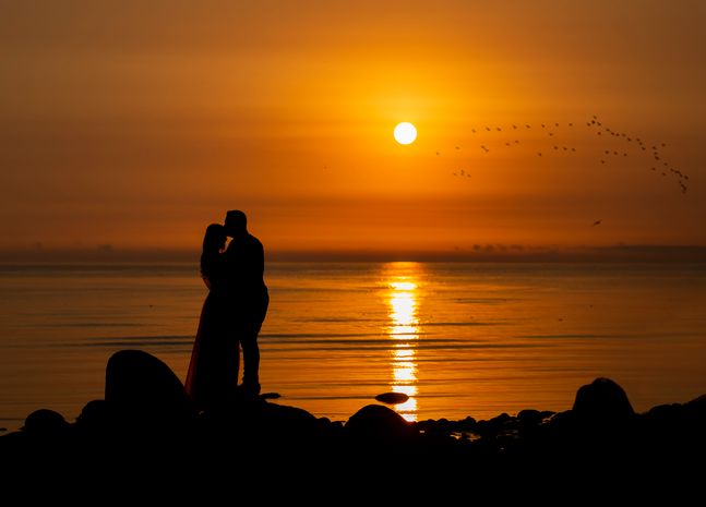 Belladate Official Website: How Dating Platforms Work unnamed file 2